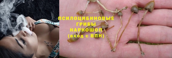 скорость Осинники