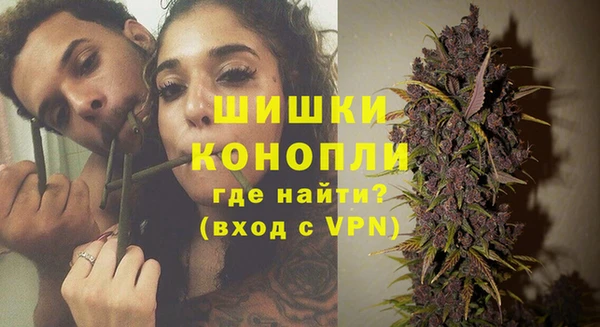 дживик Бикин